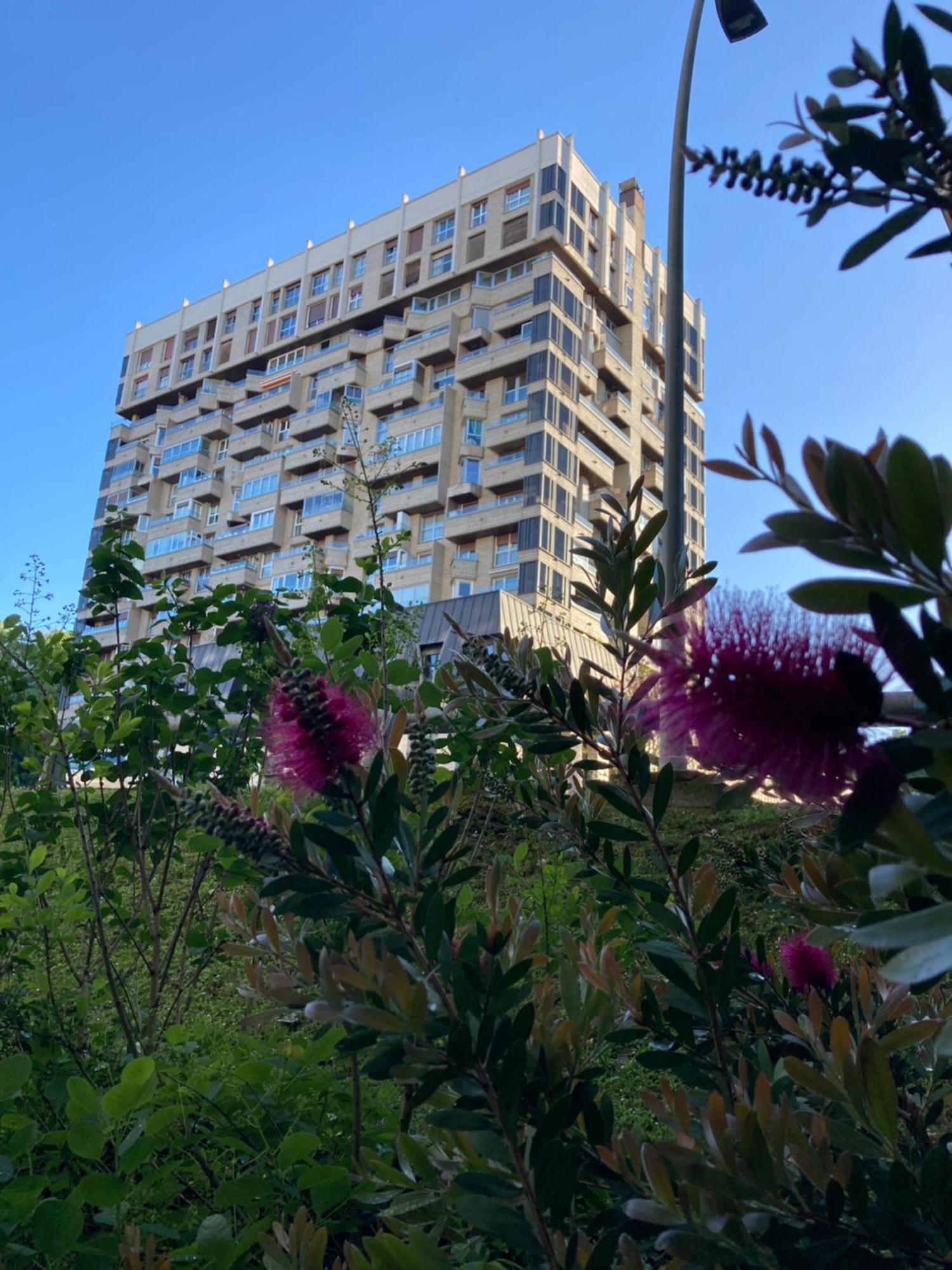 圣塞瓦斯蒂安Amara Tower 14公寓 外观 照片